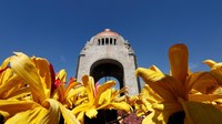 Kulit jagung warna-warni dengan latar belakang Monumen Revolusi serta langit biru menjadi perpaduan panorama yang indah. REUTERS/Carlos Jasso.