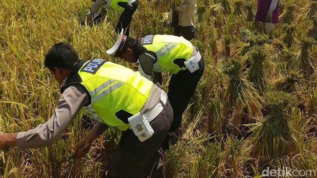 Polantas Imbau Petani di Aceh Besar Tak Bakar Jerami di Tepi Jalan