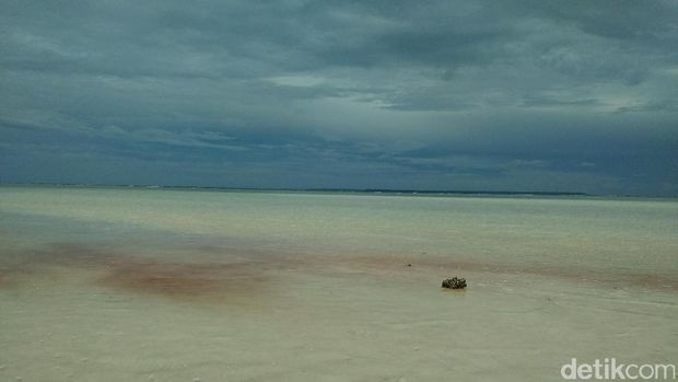 Saat Air Laut Derawan Berubah Jadi Pink