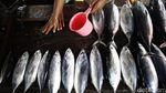Ikan-ikan Segar Semarakkan Pasar Rakyat Atambua