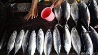Ikan-ikan dijual dengan harga bervariasi, mulai dari Rp 10 ribu hingga ratusan ribu per ekornya.