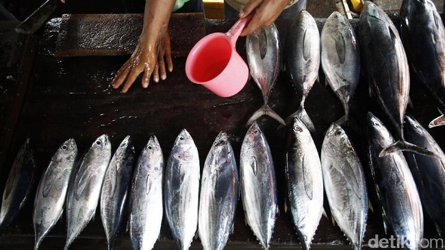 70% Wilayahnya Lautan, Kok Indonesia Masih Impor Ikan?