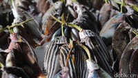 Berbagai jenis ikan segar dijual di pasar tradisional tersebut.