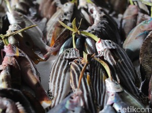 Konsumsi Ikan Orang RI Rendah, di Bawah Malaysia dan Singapura