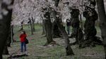 Menikmati Akhir Pekan di Monumen Washington