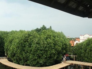 Destinasi Semarang dan Sekitarnya yang Lagi Hits di Media Sosial
