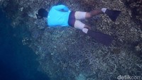 Buat yang mau free dive juga bisa unjuk kemampuanmu di sini. Jangan lupa di foto ya (Bonauli/detikTravel)