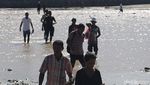 Perjuangan Warga Timor Leste Masuk Ke Indonesia