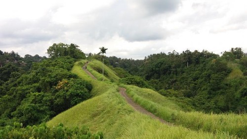 Bukit di Ubud, Bali