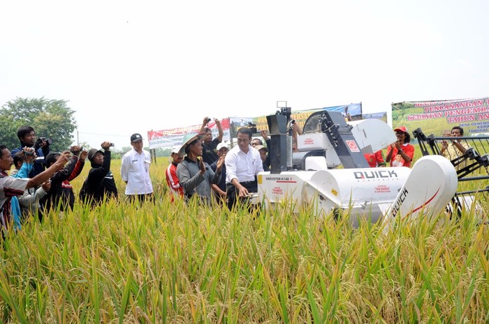 Nilai Tukar Petani Turun Saat Panen Ini Solusinya