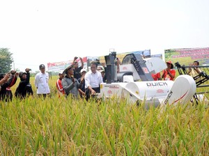 Jurus Mentan Genjot Produksi Pangan RI