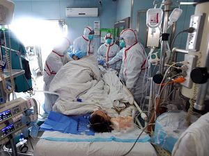 Kasus Flu Burung H5N6 di China: 2 Meninggal, 2 Kritis