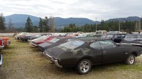  Pemilik rumah bernama Mike Hall ini menawarkan 340 mobil sebagai bagian dari penjualan rumahnya.