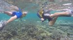 Penat Akan Kehidupan Kota Besar? Yuk, Snorkeling di Kakaban