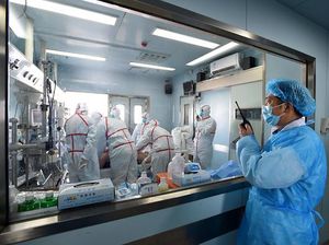 China Deteksi Kasus Pertama Flu Burung H3N8 pada Manusia