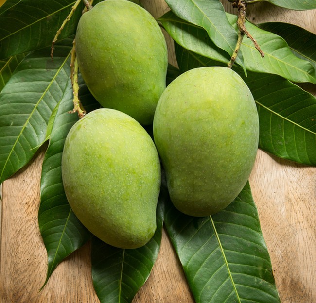 Ini 8 Khasiat Sehat Mengonsumsi Mangga Muda (2)