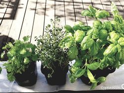 Ini Foto-foto Keren yang Dihasilkan Galaxy S8