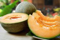 Kembali Dilelang, Dua Buah Melon Yubari Terjual Seharga Rp 655 Juta! 