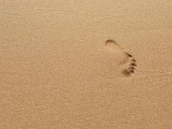 Ini Foto-foto Keren yang Dihasilkan Galaxy S8