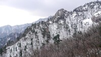 Foto: Puncak gunung yang berselimut salju. Begitu indah dipandang dan diabadikan dalam kamera (Kurnia/detikTravel)