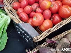 Ini Foto-foto Keren yang Dihasilkan Galaxy S8