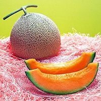 Tahun Ini Sepasang Melon Yubari Terjual Seharga Rp. 357 Juta