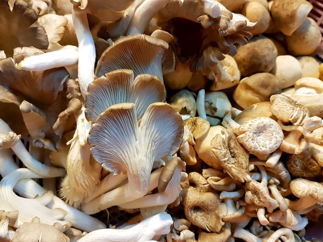 Ini 8 Cara Mengolah Jamur Agar Jadi Sajian Enak (2)