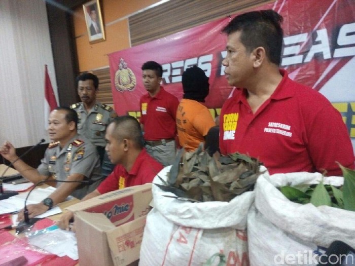 Mengaku Bisa Ubah Daun Jadi Uang, ASI Ditangkap Polisi
