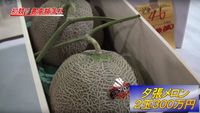 Tahun Ini Sepasang Melon Yubari Terjual Seharga Rp. 357 Juta