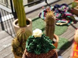 Ini Foto-foto Keren yang Dihasilkan Galaxy S8