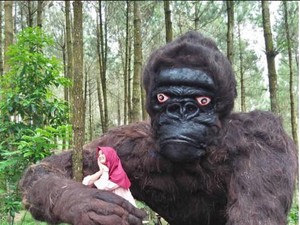Heboh Penampakan King Kong di Hutan Pinus Magelang