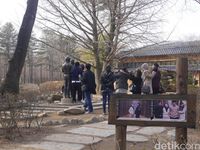 Tips Liburan Romantis Bareng Kekasih di Nami Island