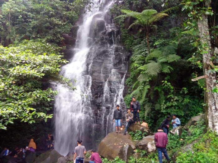 Mengenal Curug Cipurut yang Asri di Purwakarta
