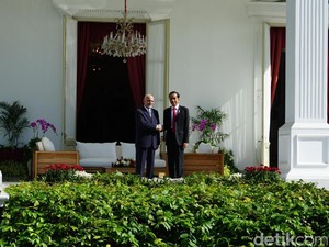Jokowi Sambut Presiden Afganistan dengan Upacara Kenegaraan