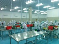 Ekspor Telur Ikan Terbang, Pria Ini Kantongi Omset Rp 364 Miliar