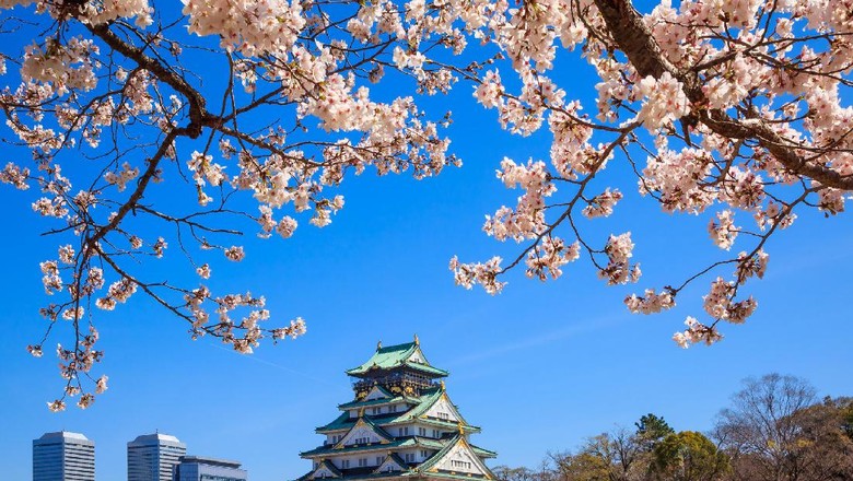 Kastil Osaka (Thinkstock) Kastil Osaka (Thinkstock)