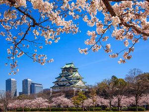 Pengamat Pariwisata: Sayonara Tax di Jepang Angkanya Wajar