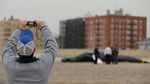 Seekor Paus Bungkuk Terdampar di Pantai New York
