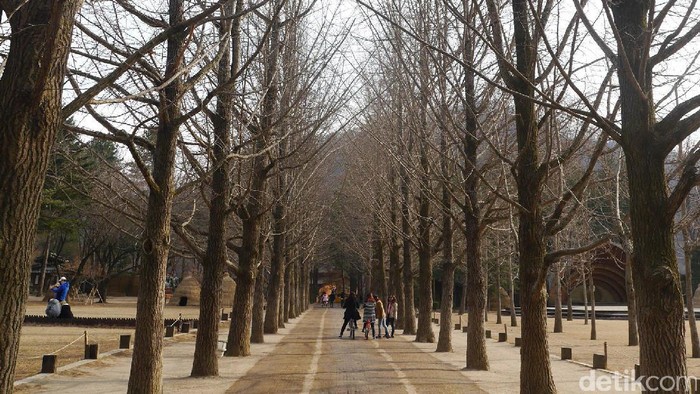 Spot winter sonata di Nami Island Korsel