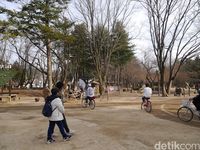 Nami Island.