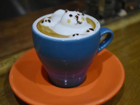 Moka Coffee Cabana
