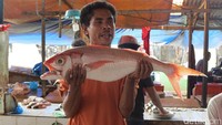 Penjual lain bernama Kori mengatakan Atambua menghasilkan banyak ikan yang dibawa dari Pantai Atapupu. Dia mengangkat seekor ikan merah yang dia jual (Fitraya/detikTravel)