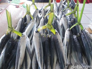 Agar Anak Tak Kerdil, Pemerintah Imbau Ibu-ibu Berikan Lauk Ikan