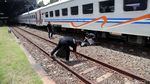 Aksi Bersih-bersih Stasiun Tanjung Priok