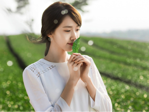 5 Hal tentang Brand Kosmetik innisfree yang Rilis di Indonesia