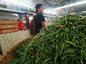 Si Kecil yang Melambung Tinggi