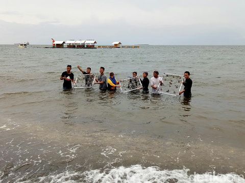 Nelayan Banyuwangi Konservasi Pantai