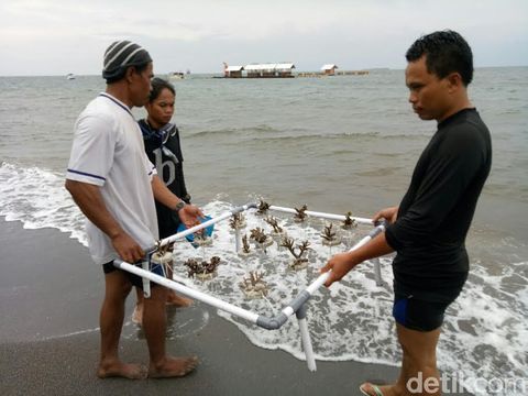 Nelayan Banyuwangi Konservasi Pantai