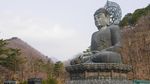 Penampakan Patung Buddha Raksasa di Korea