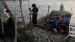 Potret Danau Galilea & Kisah Mukjizat Nabi Isa